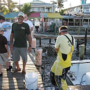 Picture 013
